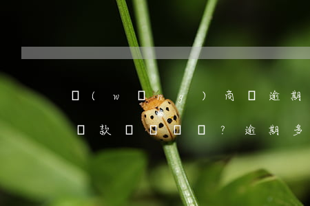 網(wǎng)商貸逾期多久不再提供分期還款？逾期多久可能被起訴？